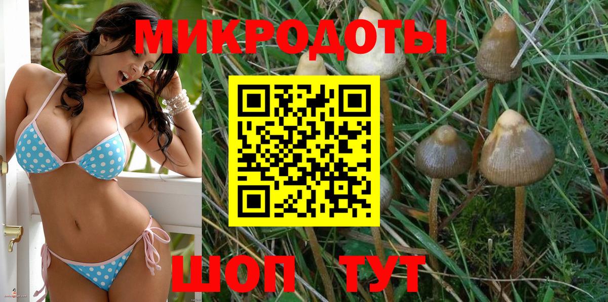 Галлюциногенные грибы Magic Shrooms Омск